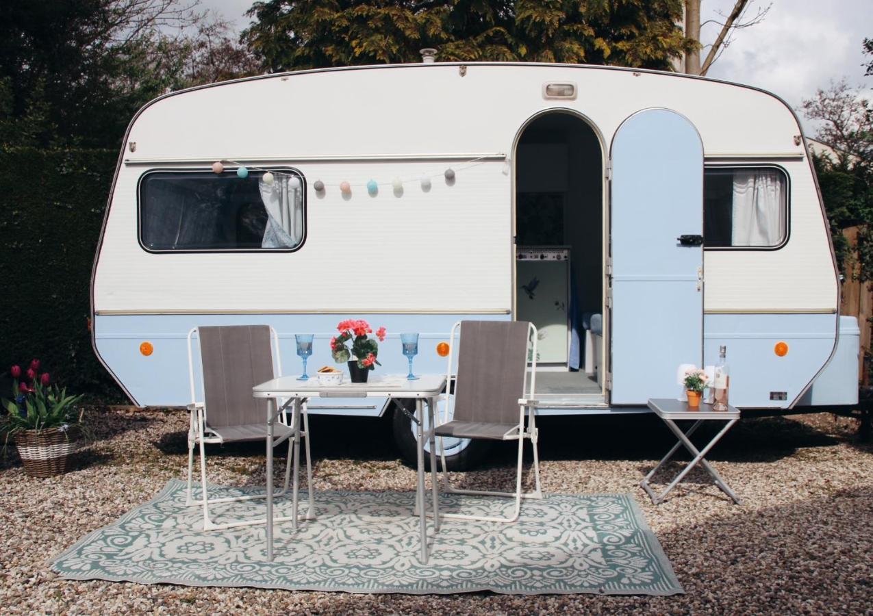 Bed & Breakfast Het Caravannetje - Retro Glamping Leidschendam